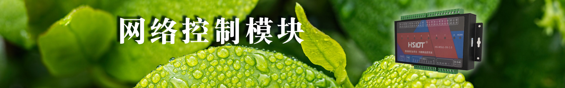 現(xiàn)代農(nóng)業(yè)物聯(lián)網(wǎng)領(lǐng)航者-華勝物聯(lián)網(wǎng)科技有限公司