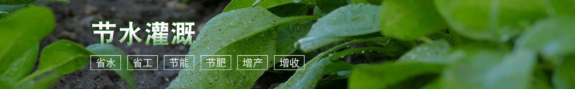 現(xiàn)代農(nóng)業(yè)物聯(lián)網(wǎng)領(lǐng)航者-華勝物聯(lián)網(wǎng)科技有限公司