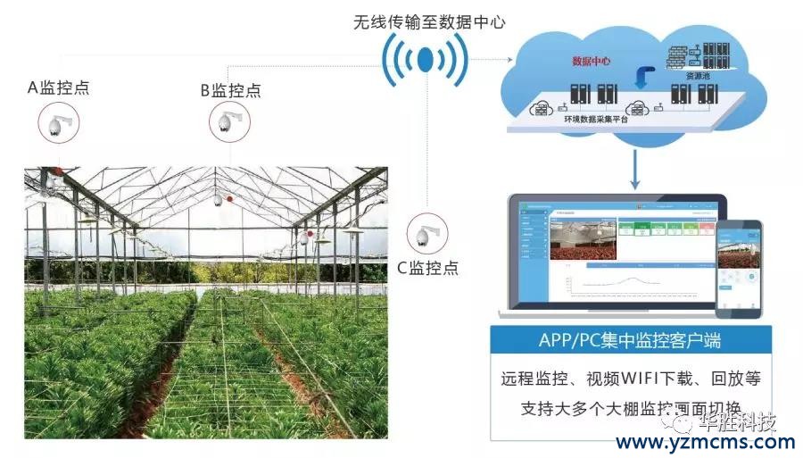 比自動(dòng)化溫室更厲害——智能溫室中的“黑科技”