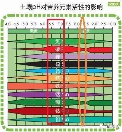 土壤的三大“殺手” 直接影響肥效和作物生長，90％的人都不知道！