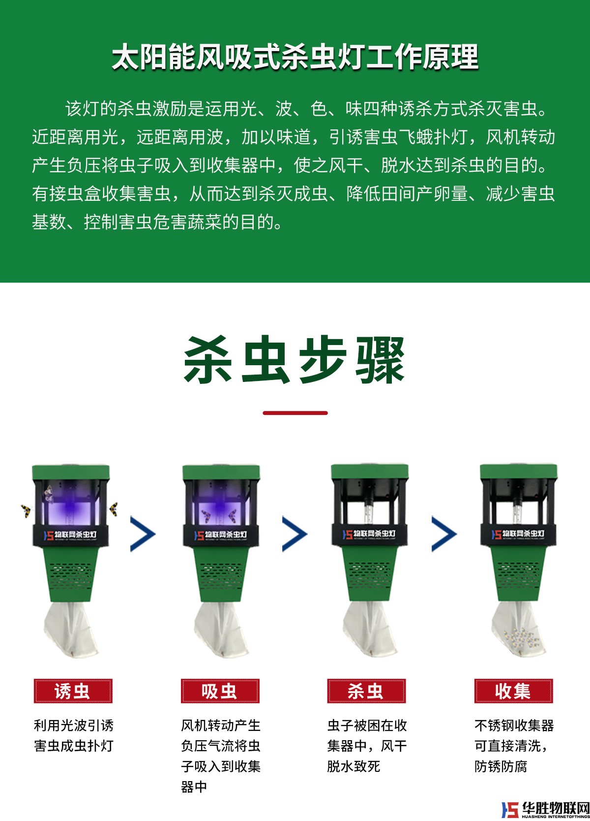 風(fēng)吸式殺蟲燈